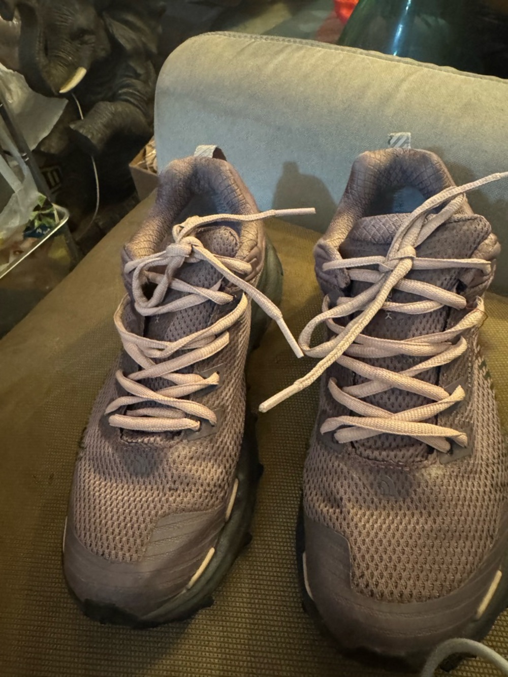 The North Face Women's Athletic Shoes in Mauve/Taupe